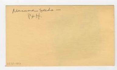 [Mucuna in Hawaii, envelope IE31-017]