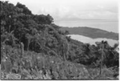 Sinalagu Harbour from taro gardens at about 1500