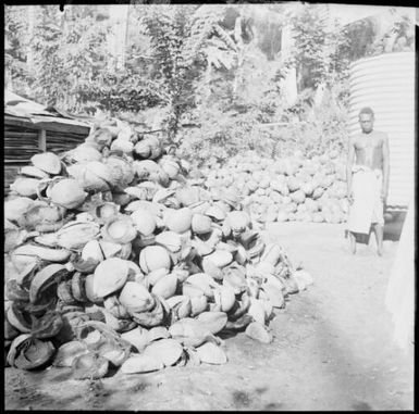Man standing in front of a water tank with piles of coconuts, New Guinea, ca. 1936 / Sarah Chinnery