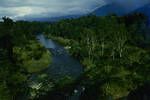 View of Kumusi River, Mamba, New Guinea