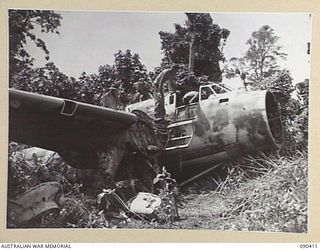 BUT, NEW GUINEA. 1945-04-02. 2/2 FIELD REGIMENT TROOPS SWARM OVER A JAPANESE "LILY" MEDIUM BOMBER BESIDE THE AIRSTRIP