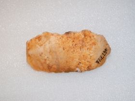 Kőeszköz