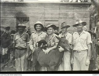 NEW GUINEA. 1943-12-22. AN INFORMAL GROUP PORTRAIT OF WARRANT OFFICER (WO) "JACK" LESLIE AND HIS RIGHT-HAND MEN IN A RAAF VEGETABLE GARDEN. FROM LEFT: WO LESLIE; LEADING AIRCRAFTMAN (LAC) R. ..