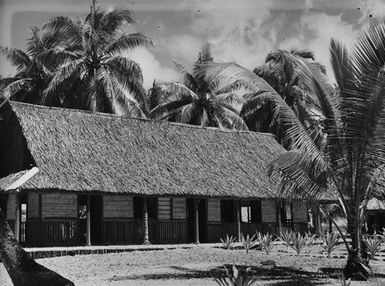 [View of a building with thatch roofing set amongst palm trees]