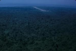 [Aerial view of forested plains on Espiritu Santo, Vanuatu]