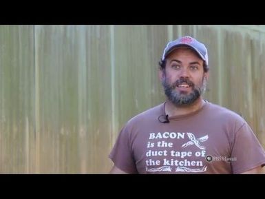 PBS Hawaii - HIKI NŌ Episode 715 | Kauai High School | Food Truck Owner