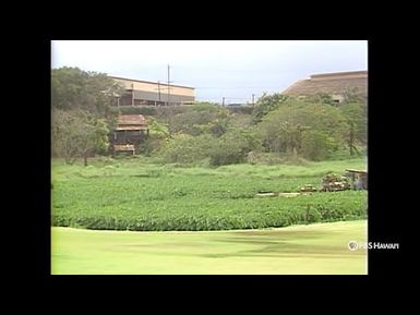 Waipahu Cultural Park (1987) | PBS HAWAIʻI CLASSICS