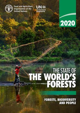 The State of the World's Forests, Biodiversity and People.