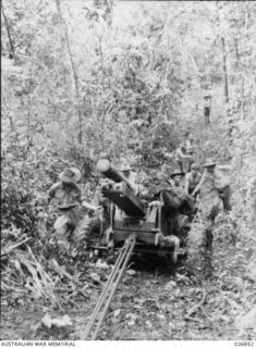 25-Pounder guns of B Troop, 14th Field Regiment, Royal Australian Artillery, being pulled through dense jungle in the vicinity of Uberi on the Kokoda Trail. Members of the Regiment are bieng ..