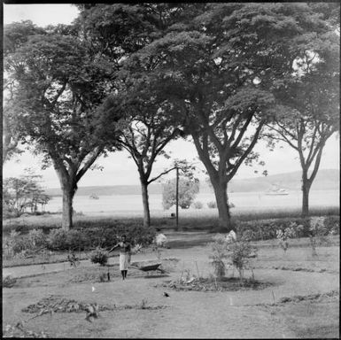 Aiau [?] using a wheelbarrow in the Chinnery garden with the HMAS Australia visible in the harbour, Malaguna Road, Rabaul, New Guinea, 1937 / Sarah Chinnery