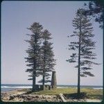 Norfolk Island