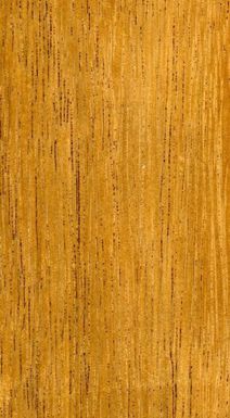 Collection of wood from the Cirad language library. Wood of Polynesia. Samanea saman (Syn. Mimosa saman, Albizia saman, Enterolobium saman, Pithecellobium saman) - Family of the Mimosaceae (French Polynesia)