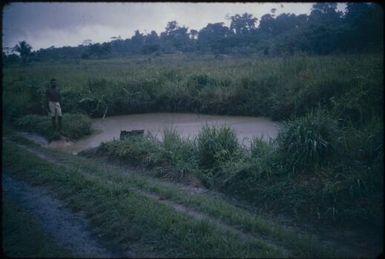 Wewak-Maprik road (3) : Wewak-Maprik, Papua New Guinea,1959 / Terence and Margaret Spencer