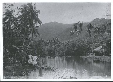 Scene in Huahine