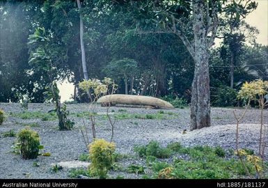 New Guinea / Solomon Islands