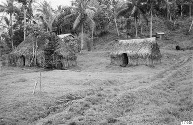 ["hus, träd, by, fotografi, photograph"]