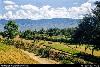Goroka - View from Hospital