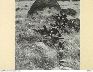 DALLMAN RIVER, NEW GUINEA, 1944-02-23. MEMBERS OF THE 2/14TH FIELD REGIMENT FIRING BREN GUNS DURING INFANTRY EXERCISES AT THE COMPLETION OF THE HUON PENINSULA CAMPAIGN. IDENTIFIED PERSONNEL ARE: ..