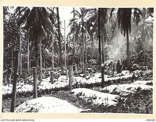 MUSCHU ISLAND, NEW GUINEA. 1945-10-27. THE JAPANESE CEMETERY ON THE ISLAND WHICH IS FAST FILLING UP, AS MORE THAN 180 HAVE DIED SINCE THE JAPANESE WERE COMPOUNDED ON THE ISLAND. THE ISLAND IS UNDER ..