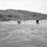 Boys in canoes