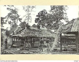 LAE-NADZAB, NEW GUINEA. 1944-07-19. NATIVES ERECTING HUTS AND THATCHING THEM WITH SAC-SAC (SAGO PALM THATCH) AT THE AUSTRALIAN NEW GUINEA ADMINISTRATIVE UNIT HEADQUARTERS