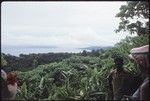 Man and women over-looking island