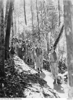 PAPUA. 1942-08. WOUNDED MEMBERS OF THE 39TH INFANTRY BATTALION MAKING THEIR WAY BACK ALONG A JUNGLE TRAIL TO THE BASE HOSPITAL. THEY ARE ALL SUFFERING FROM GUNSHOT WOUNDS SUSTAINED IN THE FIGHTING ..