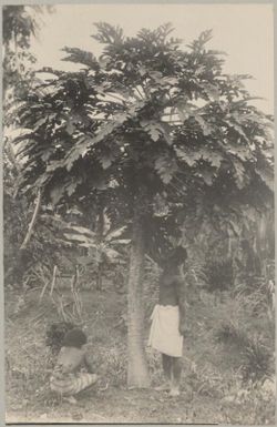 Two men under a palm tree, Tonga, approximately 1895