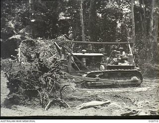 NADZAB, NEW GUINEA. C. 1944-02. A BULLDOZER OF NO. 62 MOBILE WORKS SQUADRON RAAF SMASHES DOWN GIANT JUNGLE TREES AS MOBILE WORKS GANGS PERFORM RUSH WORK IN WILD NG TO CONSTRUCT NEW AIRFIELDS AND ..