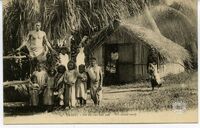 1. - Tahiti. - Feï ne s'en fait pas