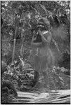 Pig festival, uprooting cordyline ritual, Tsembaga: smiling young woman in barkcloth cap, marsupial fur, and shell valuables, standing near pile of firewood