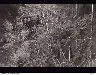 REINHOLD HIGHWAY, NEW GUINEA. 1943-08-25. NEW 68 MILE HIGHWAY BETWEEN EDIE CREEK AND WAU CROSSING CLOWES CREEK