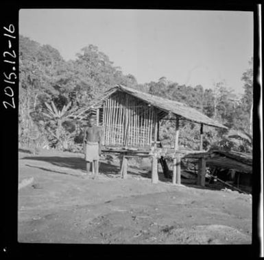 Bougainville Island