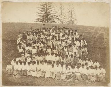 Large group of Kanak men and women seated posing with a small number of Europeans on side of hill with pine trees in background, New Caledonia, 1870s / Allan Hughan