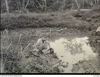 NEW GUINEA. C. 1945-01. "PREVENTION IS BETTER THAN CURE", PARTICULARLY WHERE THE HEALTH OF FRONT-LINE TROOPS IS CONCERNED. CORPORAL J. WEBSTER OF LEICHHARDT, NSW, WORKING WITH A RAAF MALARIA ..