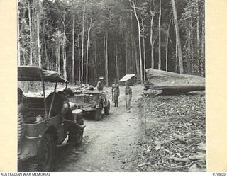 WAU - LAE ROAD, NEW GUINEA, 1944-03-03. VX141682 WARRANT OFFICER II, PARER, AUSTRALIAN NEW GUINEA ADMINISTRATIVE UNIT REPRESENTATIVE ( ), PICTURED TALKING TO QX34507 LIEUTENANT COLONEL W.J. ..