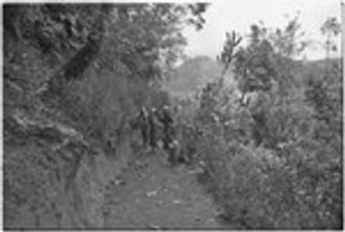 Pig festival, stake-planting, Tuguma: men charge with stakes along trail