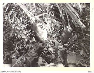 BOUGAINVILLE. 1945-05-24. D COMPANY, 26 INFANTRY BATTALION (AUSTRALIAN IMPERIAL FORCE), PASS A DEAD JAPANESE MARINE KILLED BY AN EARLIER PATROL