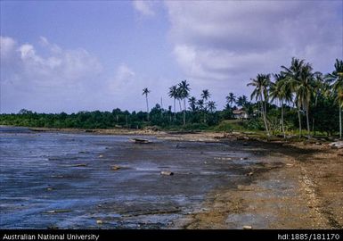New Guinea - Daru, Western District