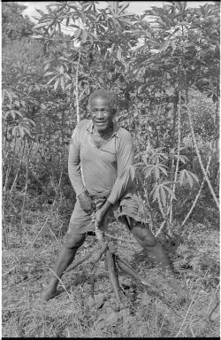 Fieldwork in Fiji