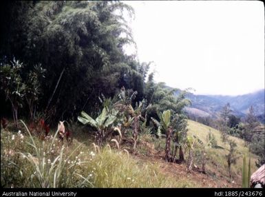 View of landscape