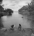 Scenery Tahiti