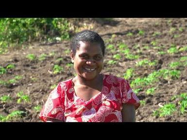 Tropical spinash - Edible leaves of the Pacific