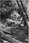 Pig festival, pig sacrifice, Tsembaga: man chops wood for fire, above ground oven and cooking stones in background