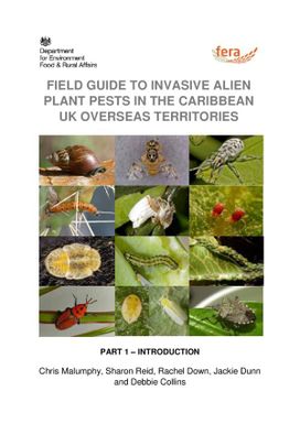 Field guide to invasive alien plant pests in the Caribbean UK overseas territories