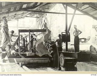 BOUGAINVILLE ISLAND, 1944-11-17. PERSONNEL OF THE 2/2ND FORESTRY COMPANY CUTTING A FLITCH FROM A LARGE LOG AT THE UNIT SAWMILL. IDENTIFIED PERSONNEL ARE:- NX163574 SAPPER G.D. BROWNE (1); WX2758 ..