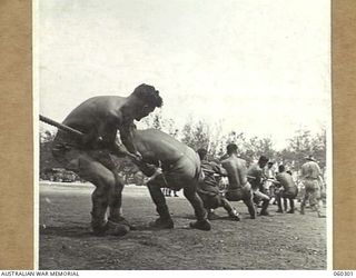 ELA BEACH, NEW GUINEA. 1943-11-13. TUG OF WAR TEAM OF THE 33RD AUSTRALIAN EMPLOYMENT COMPANY WINNING THE FINAL PULL AT THE COMBINED SERVICES SPORTS MEETING