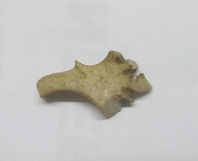 shell fretwork, fragment