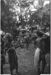 Pig festival, pig sacrifice, Tsembaga: behind ritual fence, men prepare to distribute pork to allies