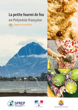 Little fire ants in French Polynesia : synthesis report|La petite fourmi de feu en Polynésie française ; rapport de synthese